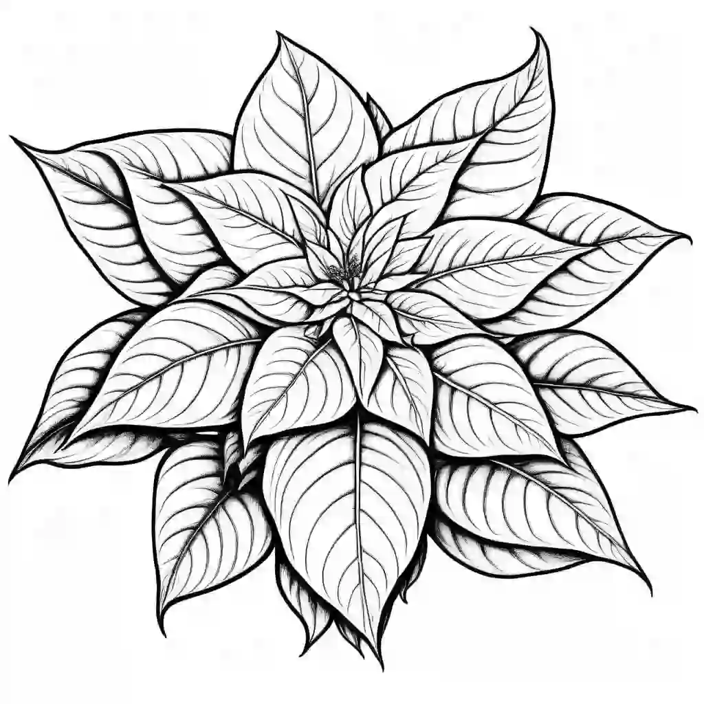Poinsettia Flower coloring pages